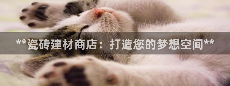 杏鑫平台注册入口在哪