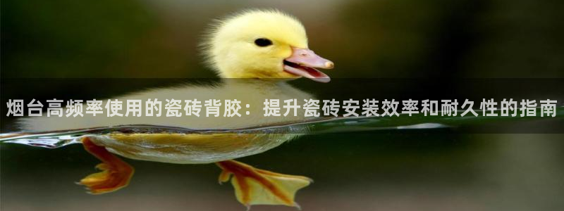 杏鑫平台代理注册登录不了怎么办呀视频