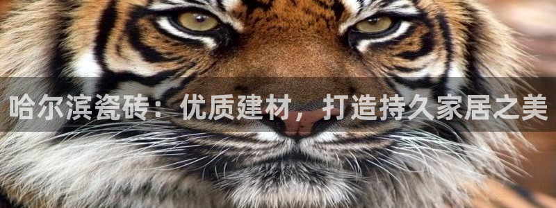 杏鑫平台代理怎么样可靠吗