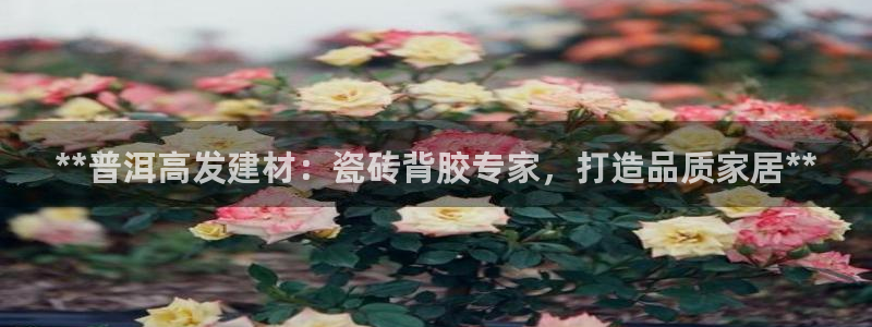 杏鑫平台注册地址在哪里