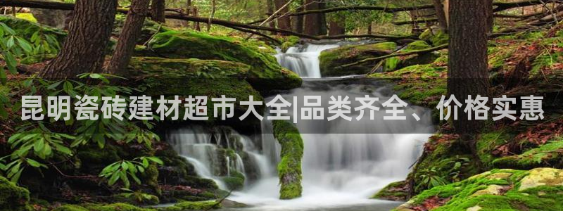 杏鑫平台直属哪个公司