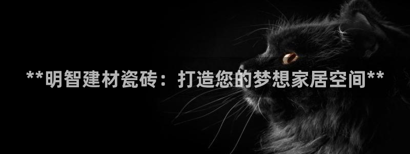 杏鑫平台代理注册流程