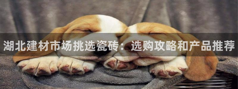 杏鑫注册平台官方网站