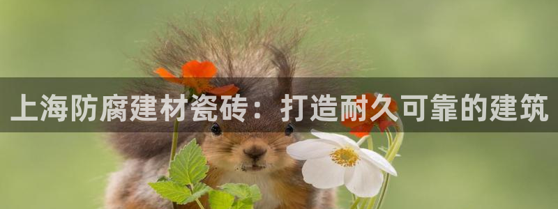 杏鑫官网注册账号怎么注册不了