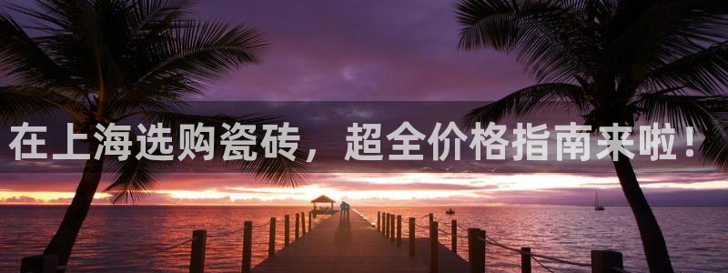 杏鑫平台注册网址查询