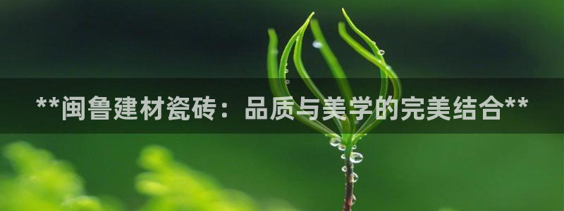 杏鑫3主管
