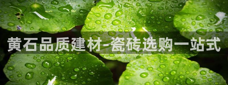 杏鑫平台代理注册多少钱啊