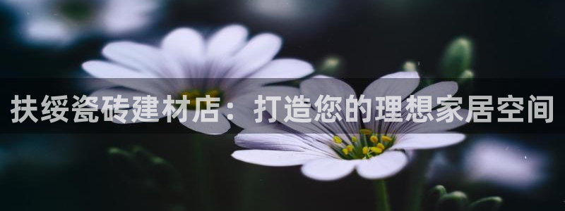 杏鑫注册登录代理公司