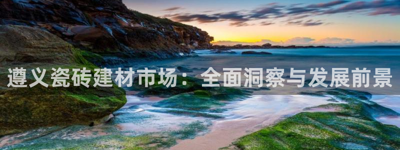 杏鑫官网最新信息