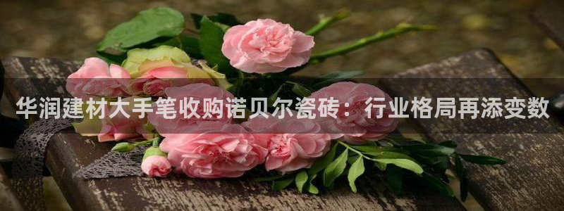 杏鑫平台代理注册流程