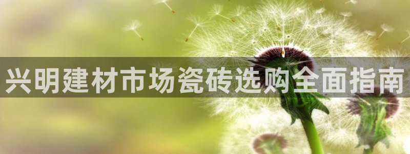 杏鑫平台代理注册流程