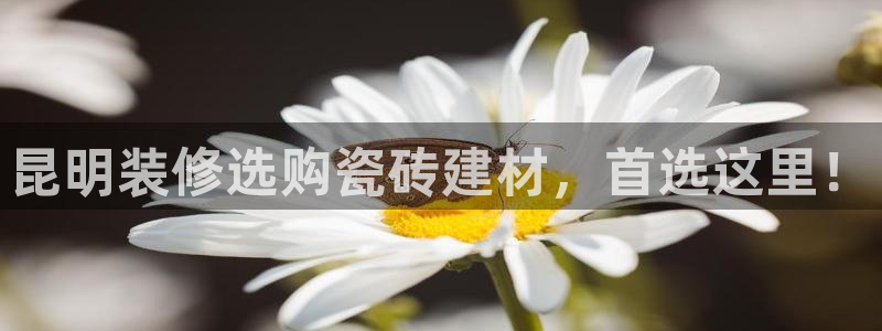 杏鑫平台在线注册