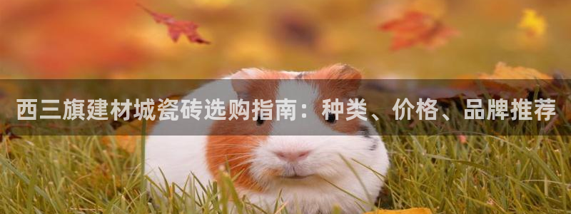 杏鑫官方平台怎么样啊可靠吗