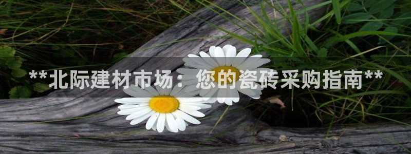 杏鑫平台代理注册