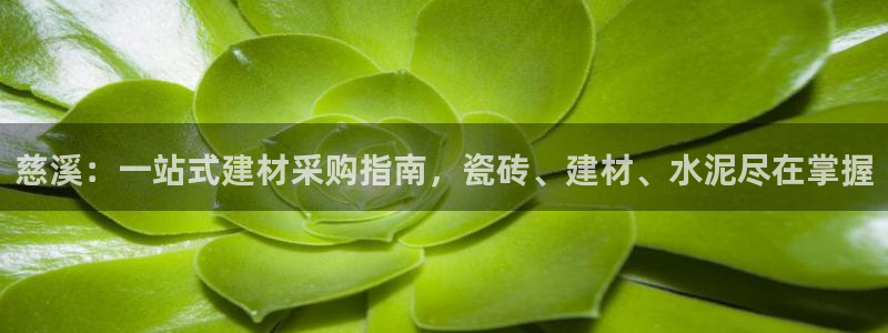 杏鑫平台直属