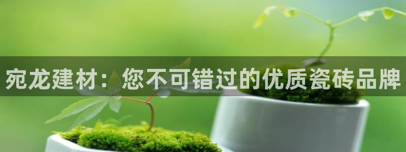 杏鑫有亏损返点吗