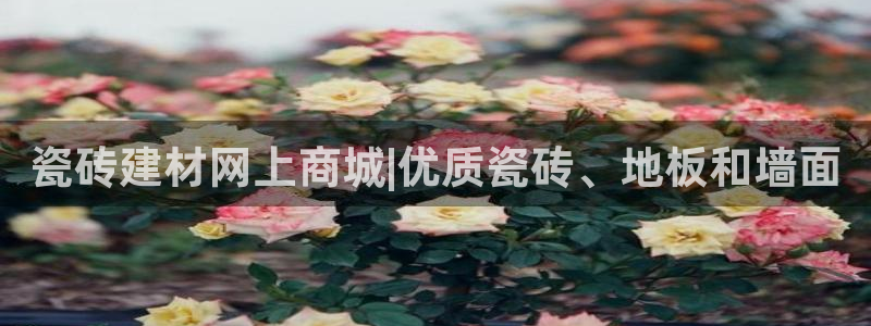 杏鑫官网注册账号是什么