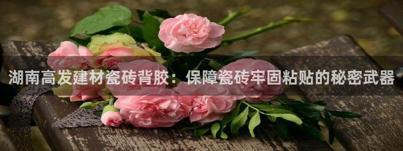 杏鑫注册登录地址