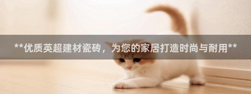 杏鑫代理注册资金多少