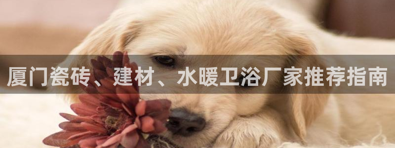 杏鑫注册登录网