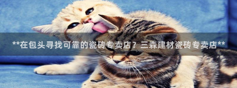 杏鑫平台注册登录