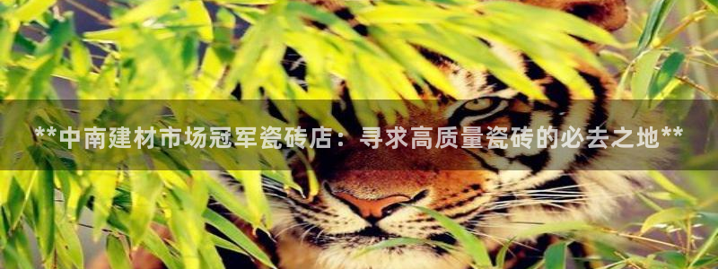 杏鑫娱乐平台测速