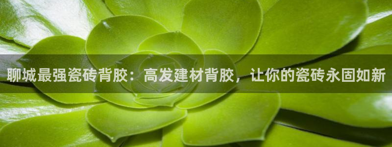 杏鑫注册