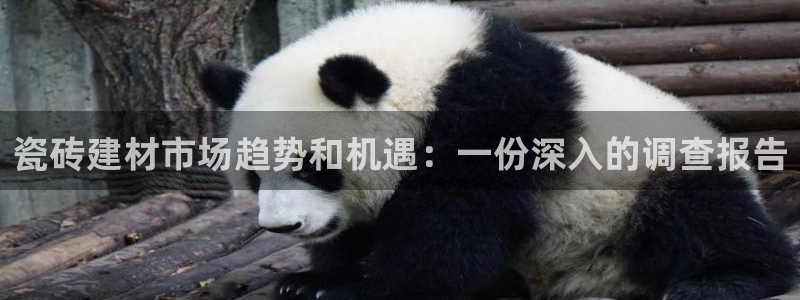 杏鑫娱乐是真的吗知乎