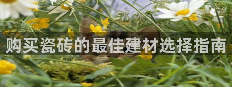 杏鑫平台怎么样黑钱吗安全吗是真的吗
