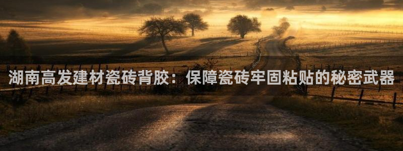 杏鑫代理注册登录