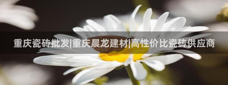 杏鑫平台代理注册流程视频