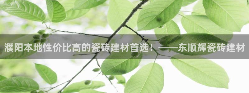 杏鑫平台直属