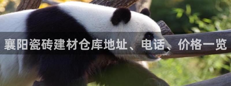 杏鑫平台注册入口在哪