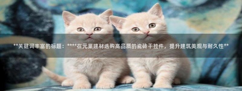杏鑫平台招商电话号码查询