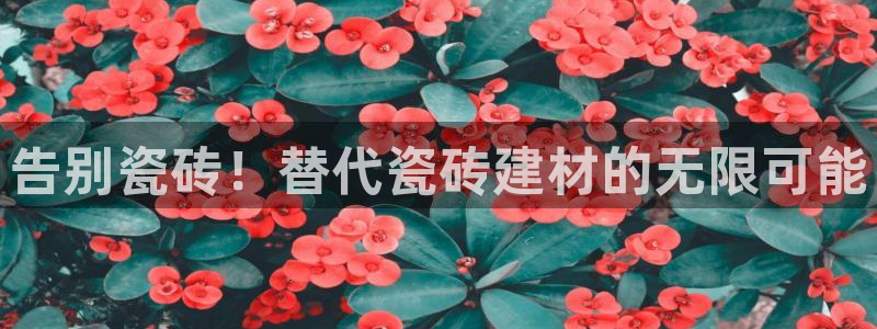 杏鑫平台平台娱乐