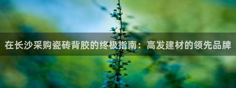 杏鑫平台官方网站