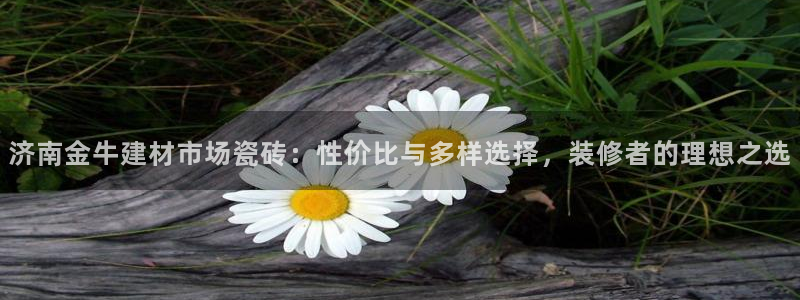 杏鑫平台招商怎么样可靠吗
