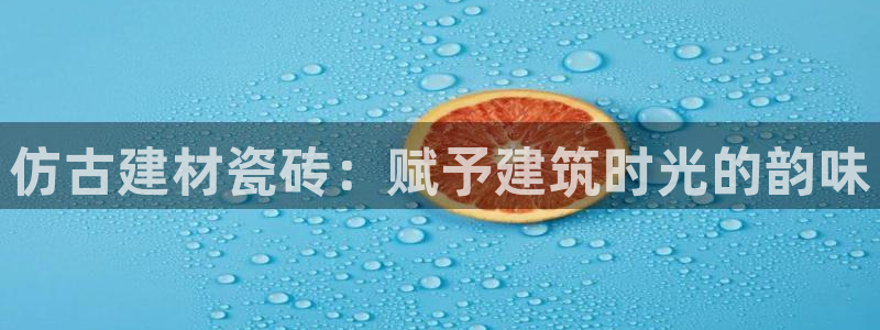 杏鑫平台登录