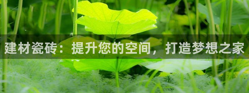杏鑫主管