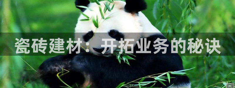 杏鑫平台怎么样