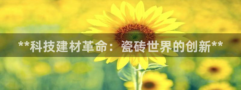 杏鑫代理注册