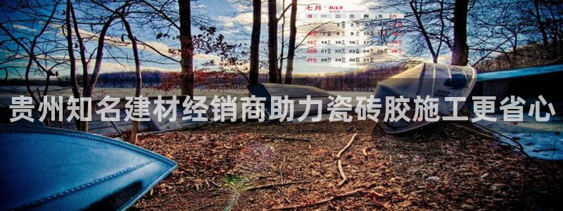 杏鑫平台登陆