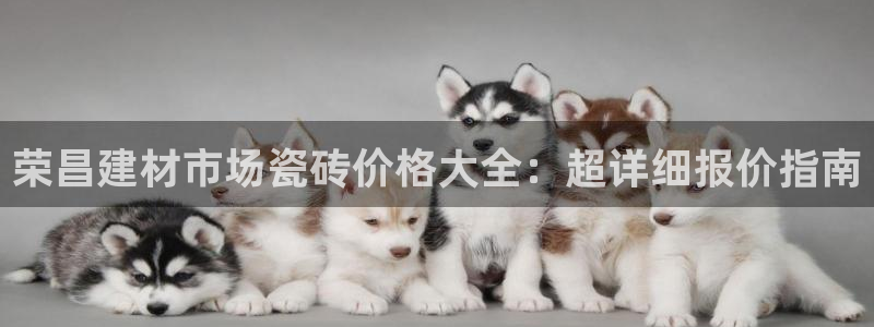 杏鑫平台招商电话号码是多少