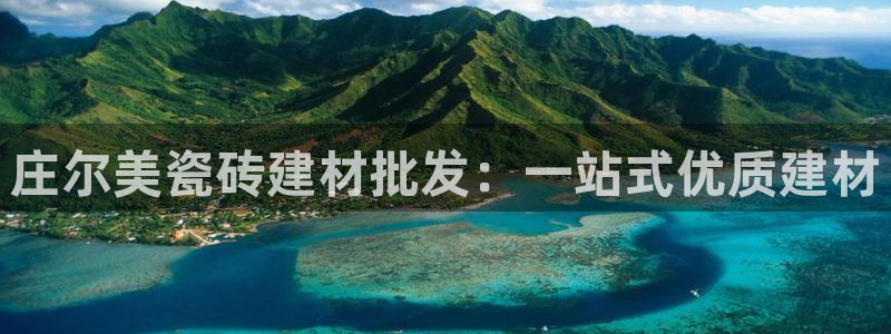杏鑫官网最新信息