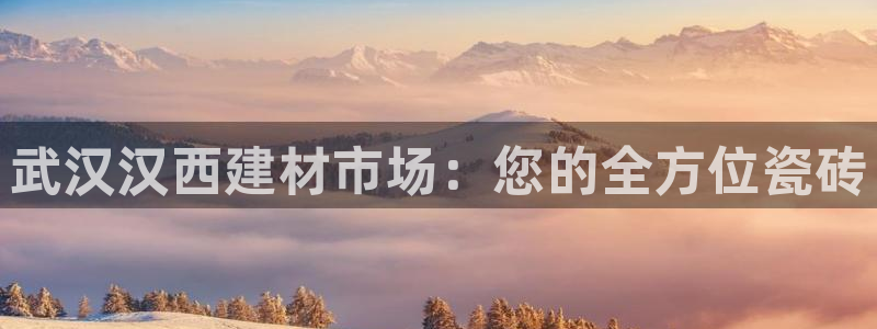 杏鑫官方平台怎么样啊可靠吗