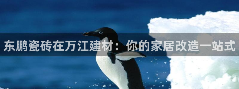 杏鑫平台代理注册