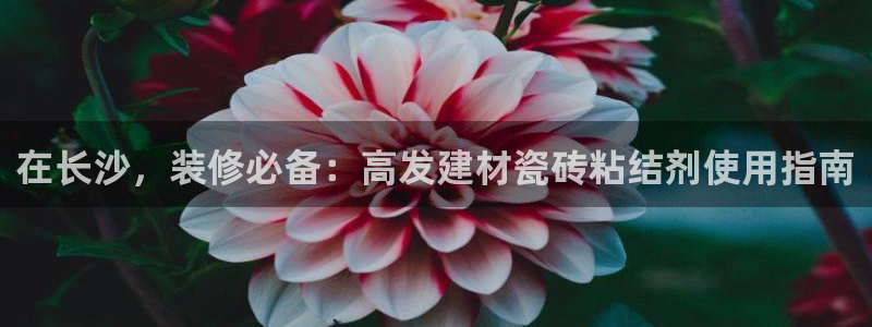 杏鑫注册登录代理