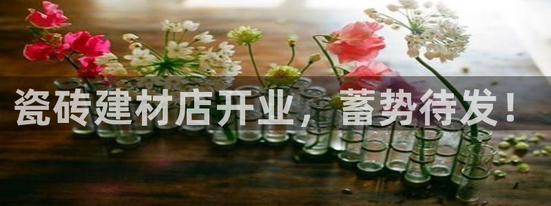 杏鑫平台注册网址