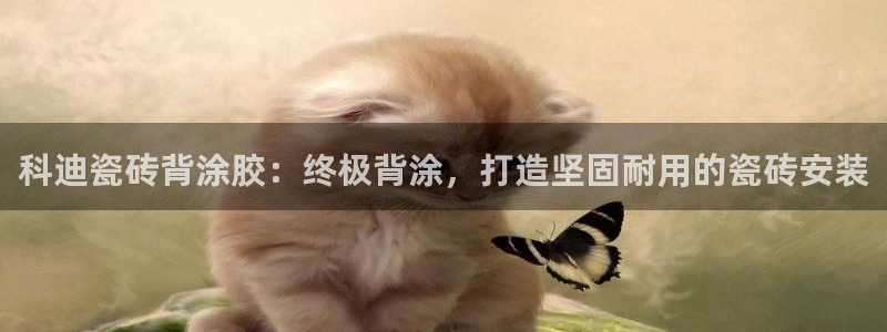 杏鑫平台平台娱乐怎么样