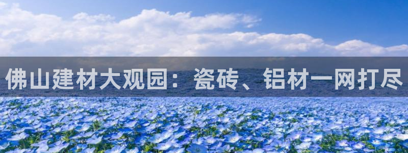 杏鑫代理注册登录